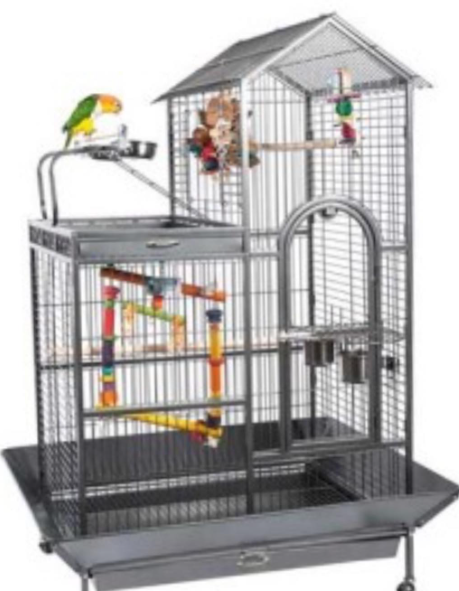 Bird Cage Accessories: Essential Items to Keep Your Feathered Friend Happy and Healthy