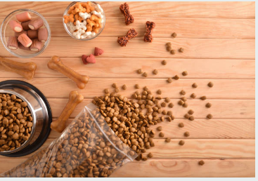 Healthy Ingredients To Look For In Your Pet’s Food