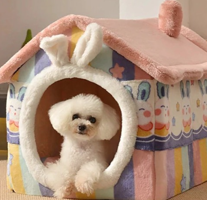 Pet Beds & Furniture: Everything You Need To Know