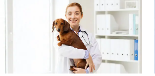 Puppy Vaccination: All You Need to Know