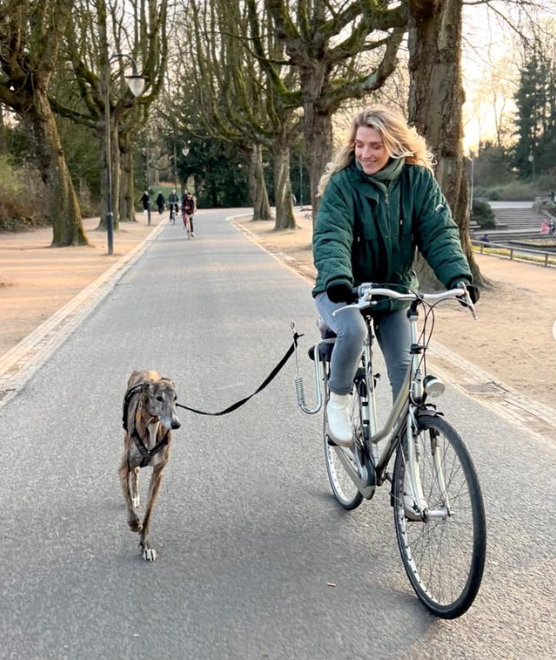 Dog Bike Riding Training: How to Teach Your Dog to Ride Alongside Your Bike