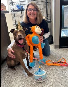 Celebrations! Dog Finally Gets Adopted after Over 2 Years at Shelter