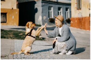 Summer Safety Tips for Dogs: Keeping Your Furry Friend Cool and Safe