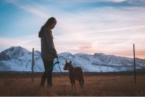 An evening walk during summer