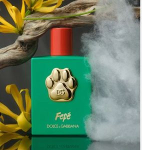 Dolce & Gabbana Launches $108 Perfume for Dog