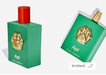 Dolce & Gabbana Launches $108 Dog Perfume