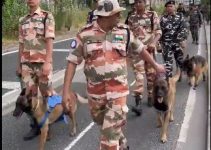 Dogs Provide Security at Paris Olympics