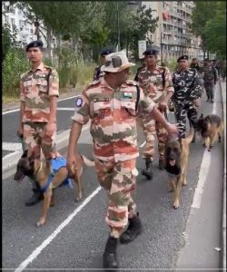 Dogs Provide Security at Paris Olympics