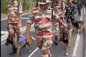 Dogs Provide Security at Paris Olympics