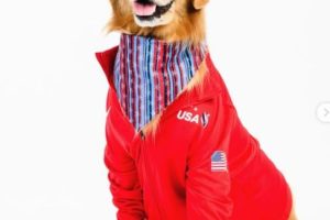 Team USA Gymnastics Dog Battles Mysterious Illness