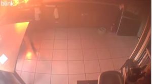 Dog Sets Home on Fire While Searching for Food