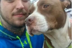 Missing Dog Found Guarding His Owner’s Dead Body