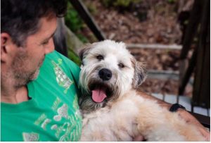 Man Tells Roommate to Move Out Because of His Emotional Support Dog