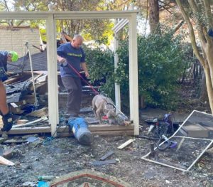 Dog Survives Home Explosion, Rescued Six Days After