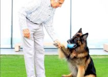 Man Wills £91 Million Fortune to his Dog