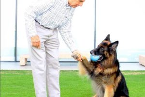 Man Wills £91 Million Fortune to his Dog