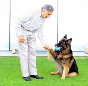 Man Wills £91 Million Fortune to his Dog