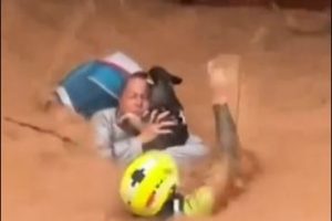 Woman and Her Dog Rescued from Floods in Spain