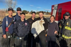 Two ‘Mischievous Dogs’ Rescued After Falling Through Ice