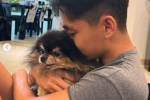 BTS’s V Mourns the Loss of Beloved Dog Yeontan